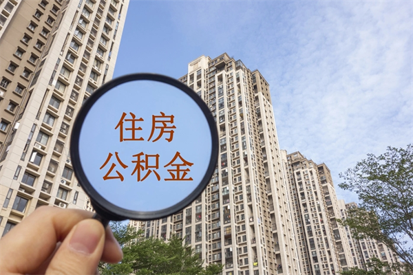 公积金怎么一次性全部提取-东莞公积金代办平台